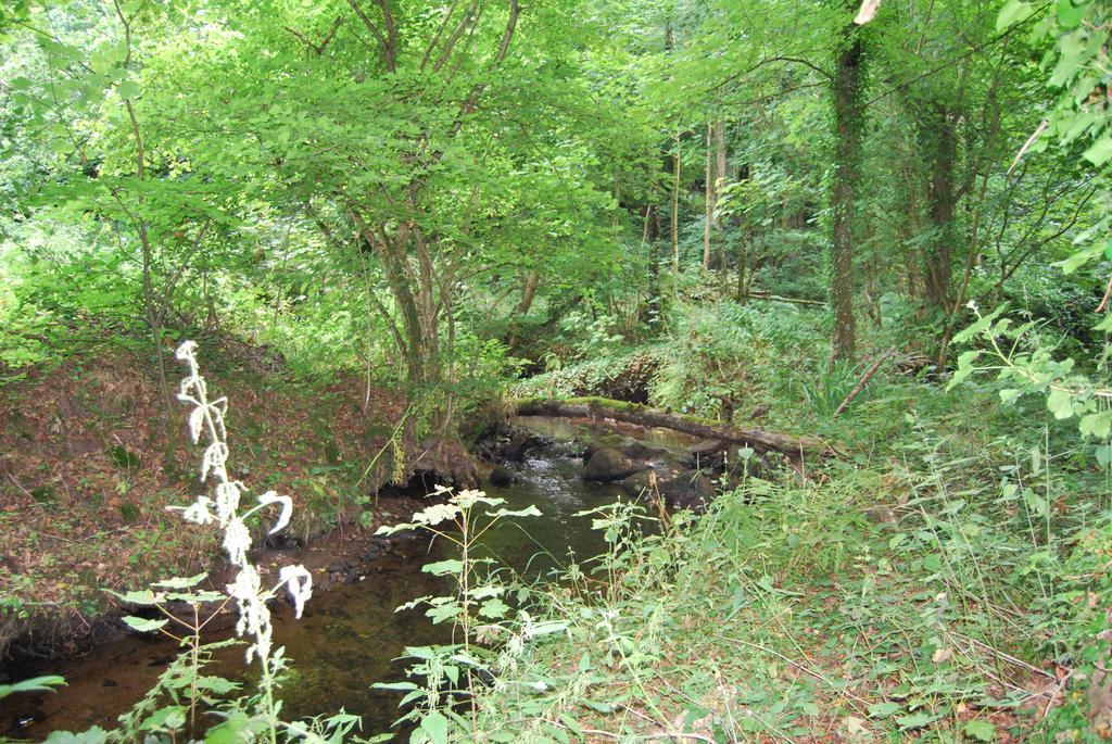 Gite La Chouette Bégard Exterior foto